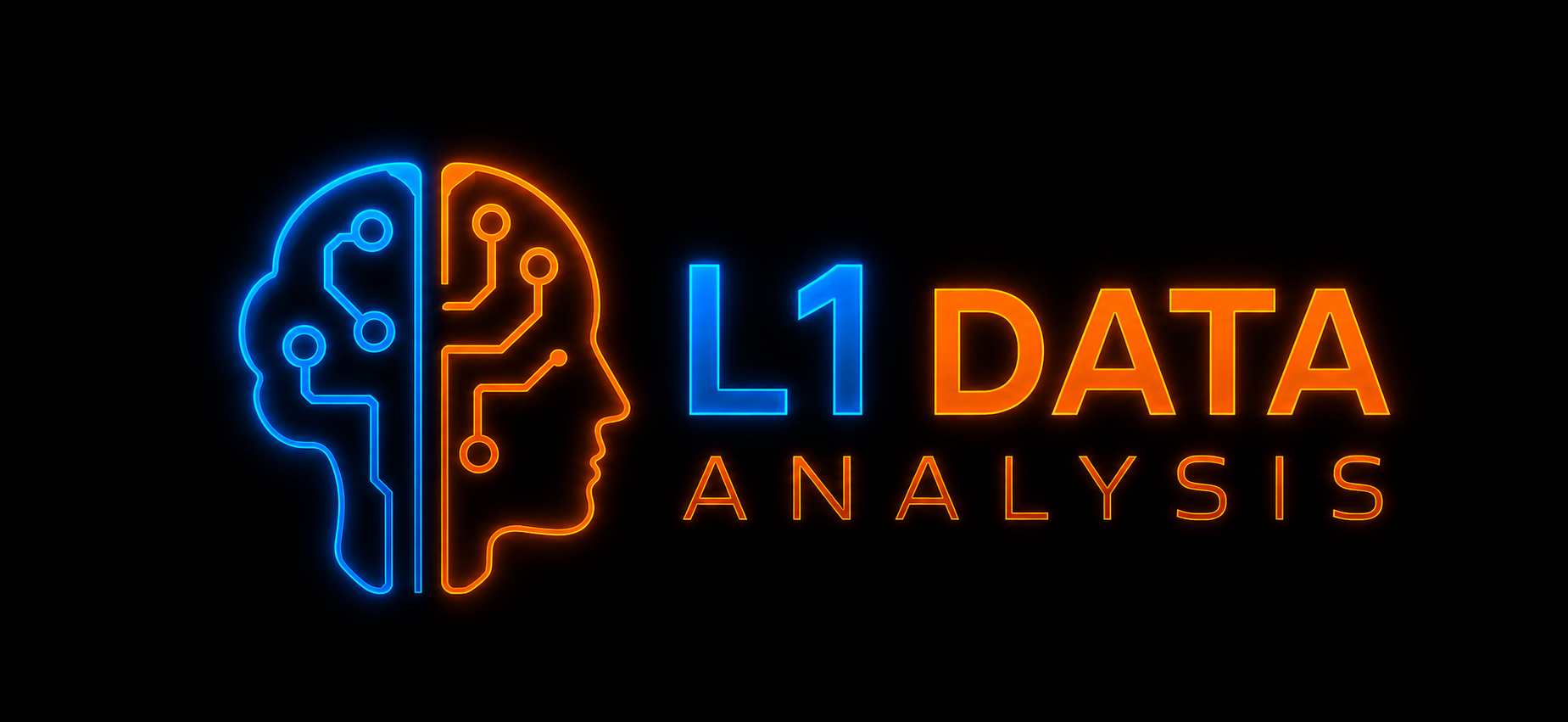 L1 DATA Logo